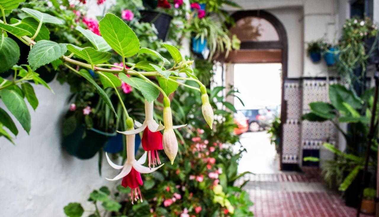 メディナ＝シドニアCasa Arco De La Pastoraアパートメント エクステリア 写真
